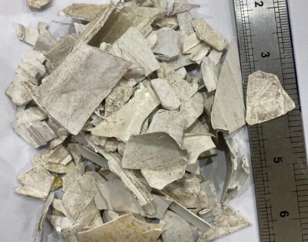 WhatsApp Image 2026-01-19 at 1.30.58 PM