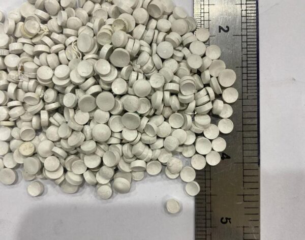 WhatsApp Image 2026-01-19 at 1.31.00 PM