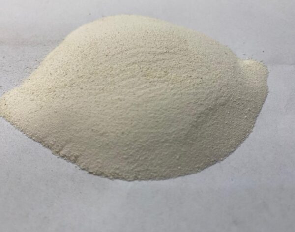 WhatsApp Image 2026-01-19 at 1.31.01 PM (1)