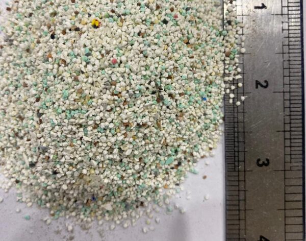 WhatsApp Image 2026-01-19 at 1.31.07 PM