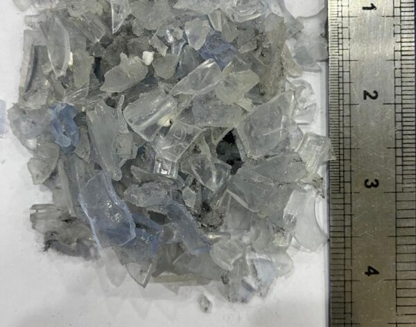 WhatsApp Image 2026-01-19 at 1.31.09 PM (2)