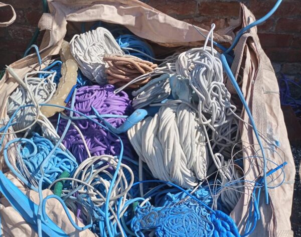 WhatsApp Image 2026-01-19 at 1.31.10 PM (2)